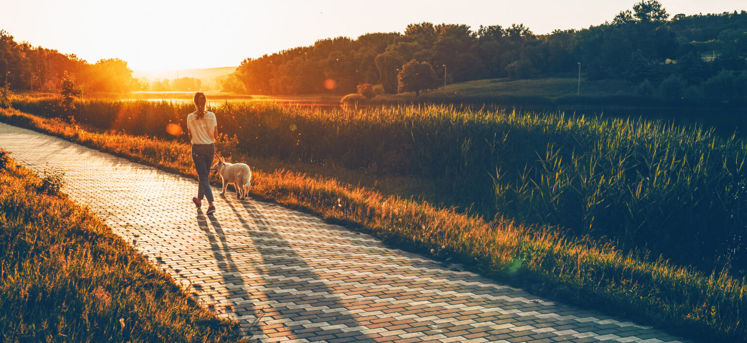 iStock-1208762687-1536×705