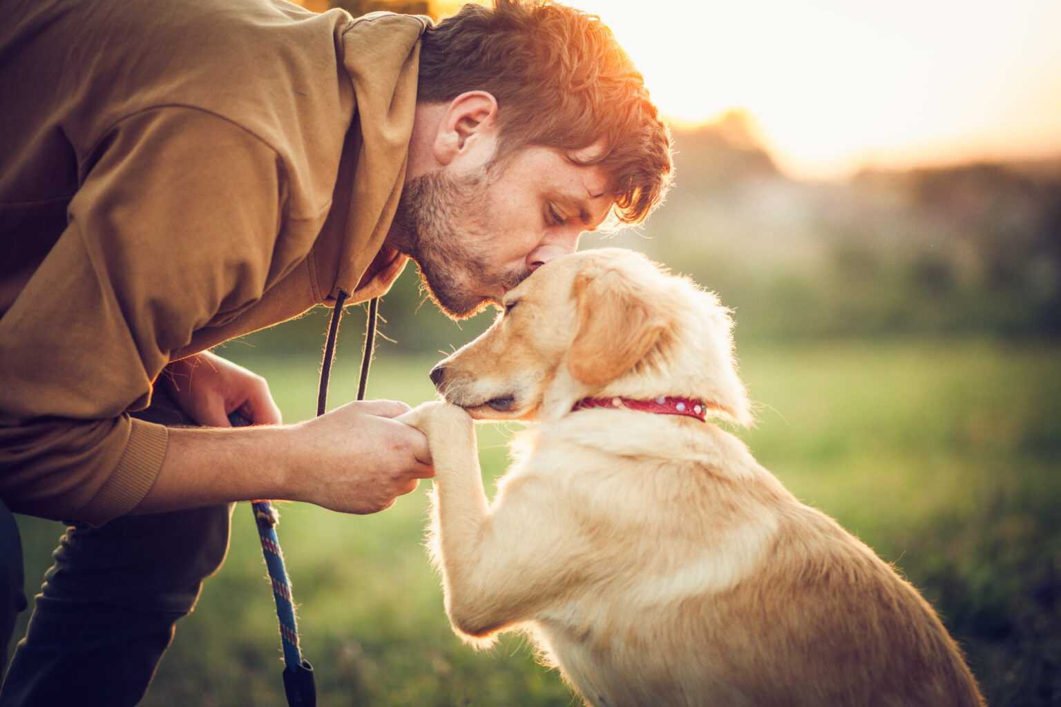 iStock-1344938288-1536×1024